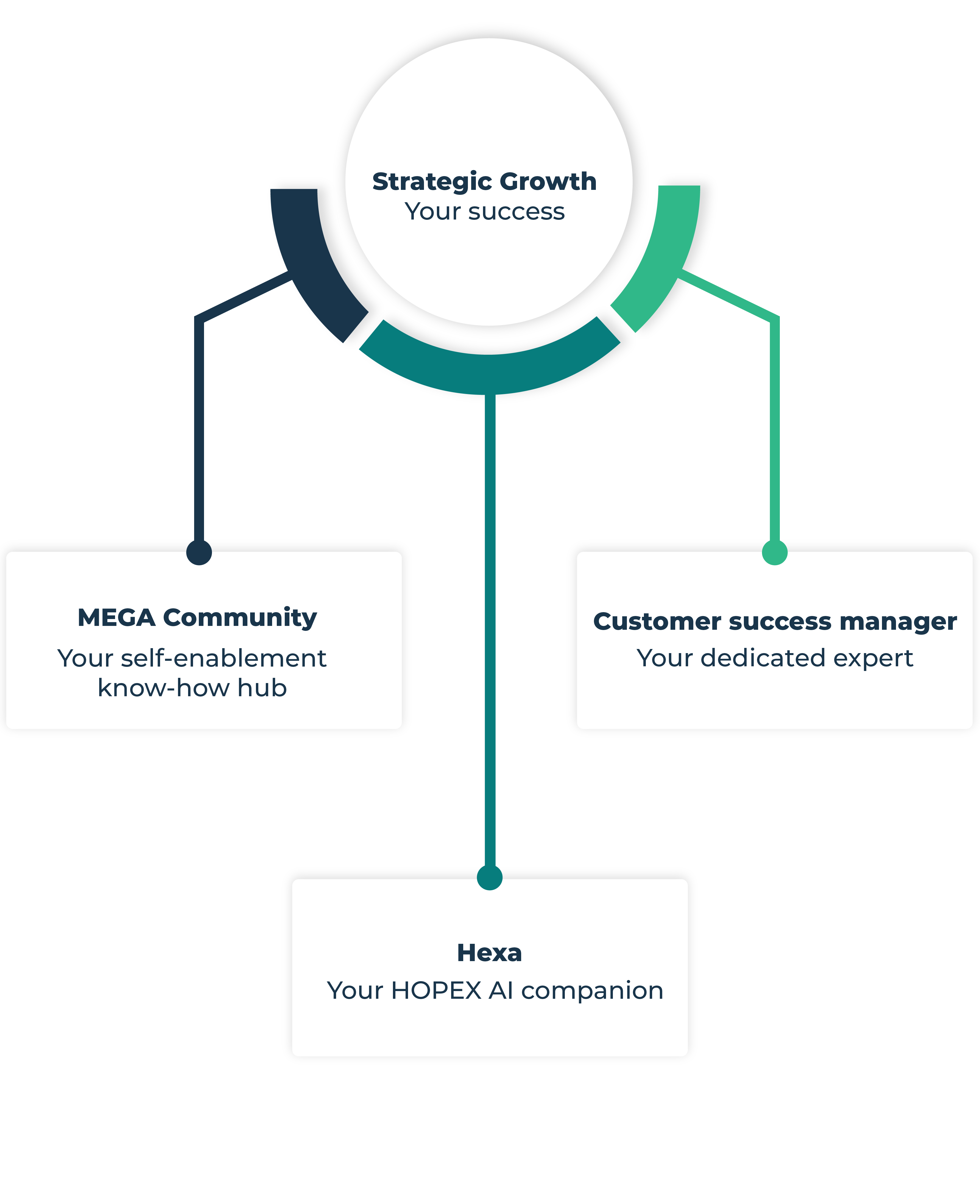 Customer Success Enablement